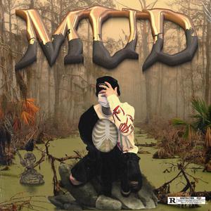 美女很黄免费下载黄色软件视频
