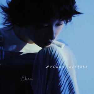 美女很黄免费下载黄色软件视频
