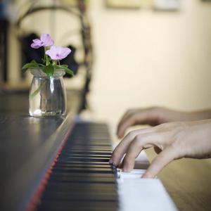 美女很黄免费下载黄色软件视频
