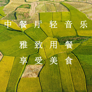 美女很黄免费下载黄色软件视频
